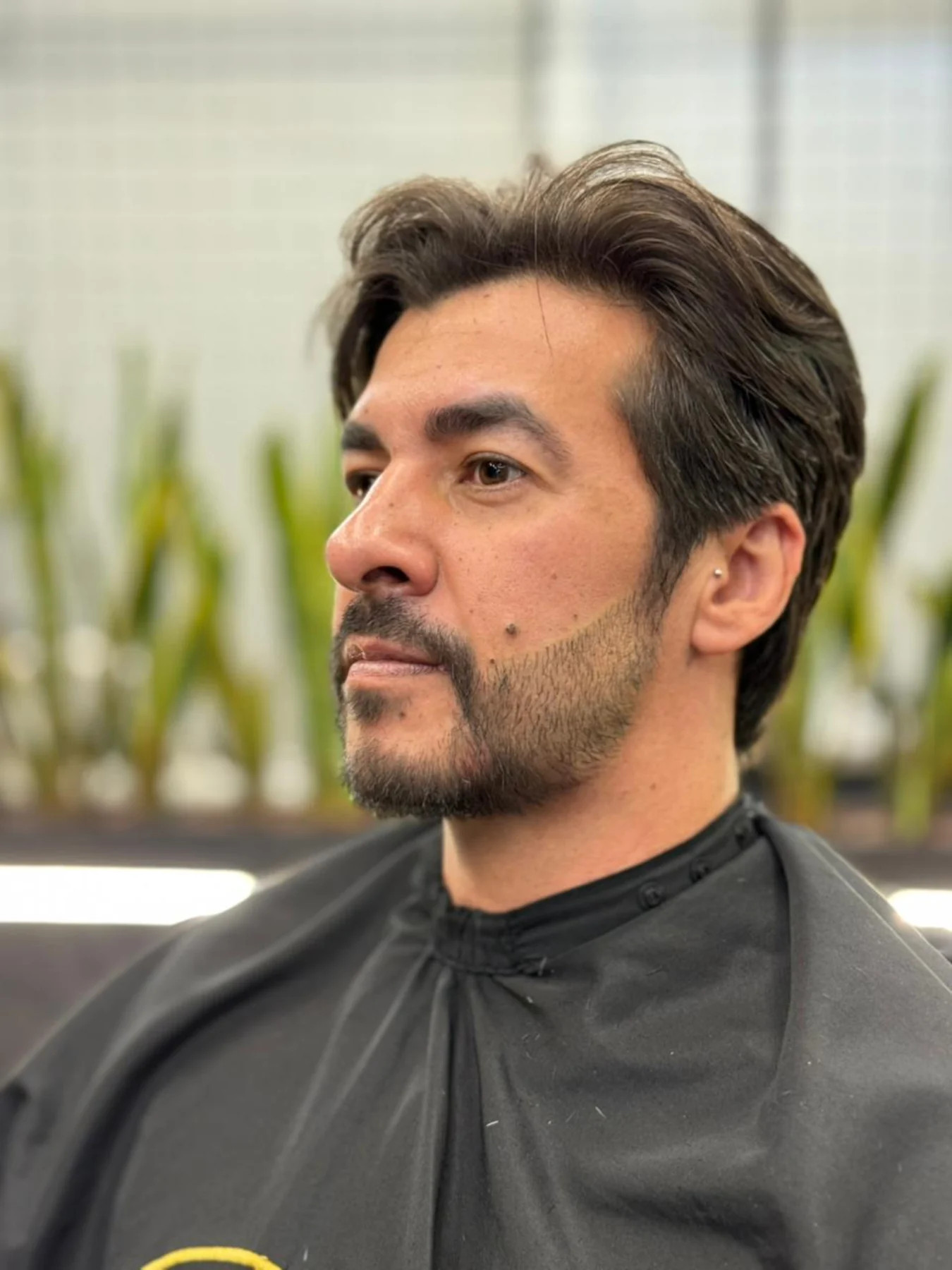 Depois da micropigmentação de barba